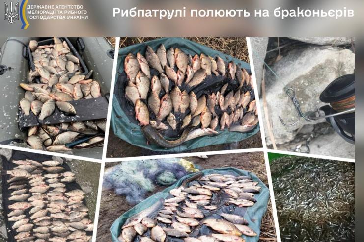 На Одещині браконьєру доведеться сплатити 448 тисяч грн штрафу за рибальство під час нересту 